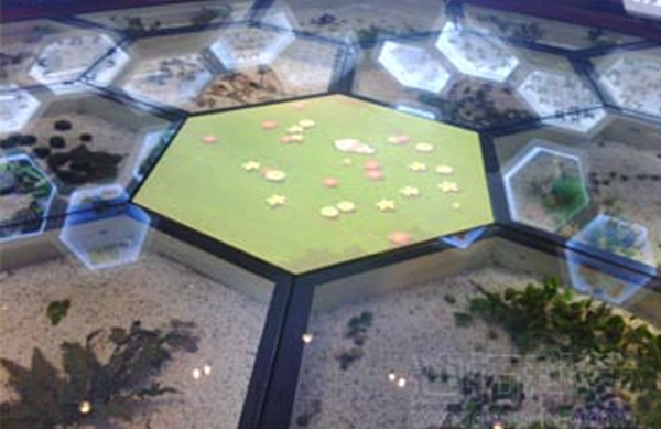 廣州市第86中學標本博物館